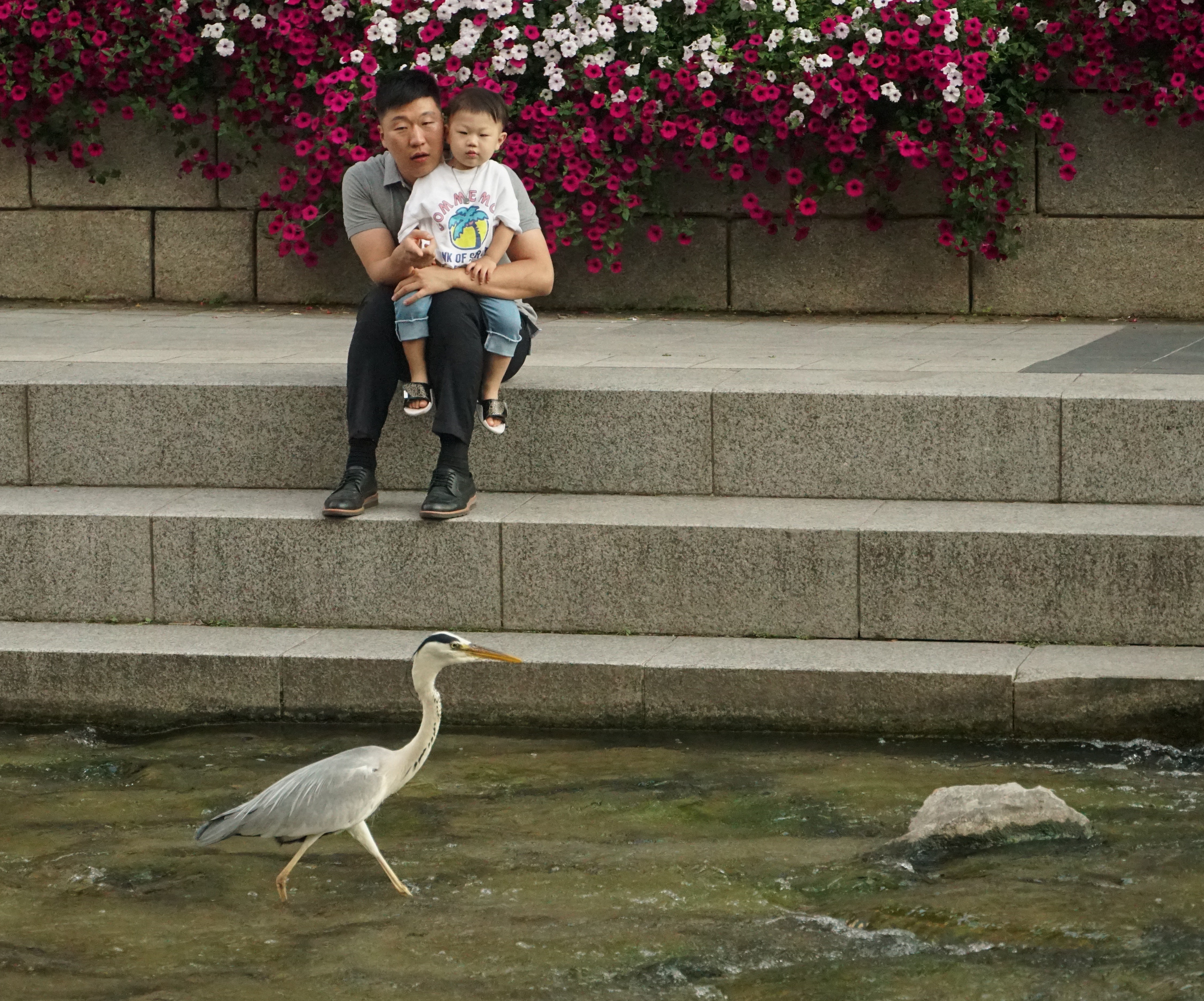 In Search of Eco-Storytellers